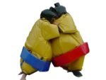 Costume Sumo Combat