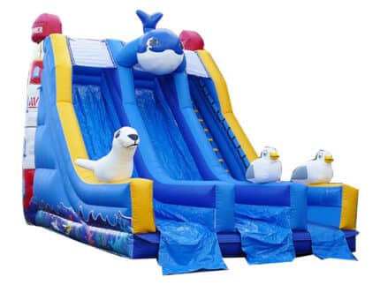 Toboggan Gonflable Baleine Modèle Moyen