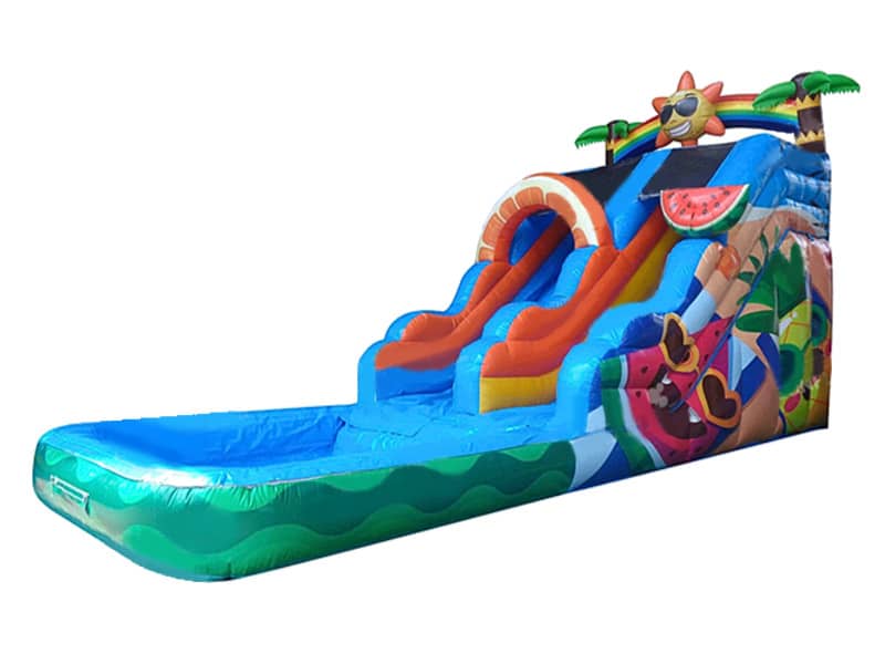 E104614 Toboggan Aquatique Gonflable Exotique – Image 1